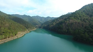 林场03.jpg