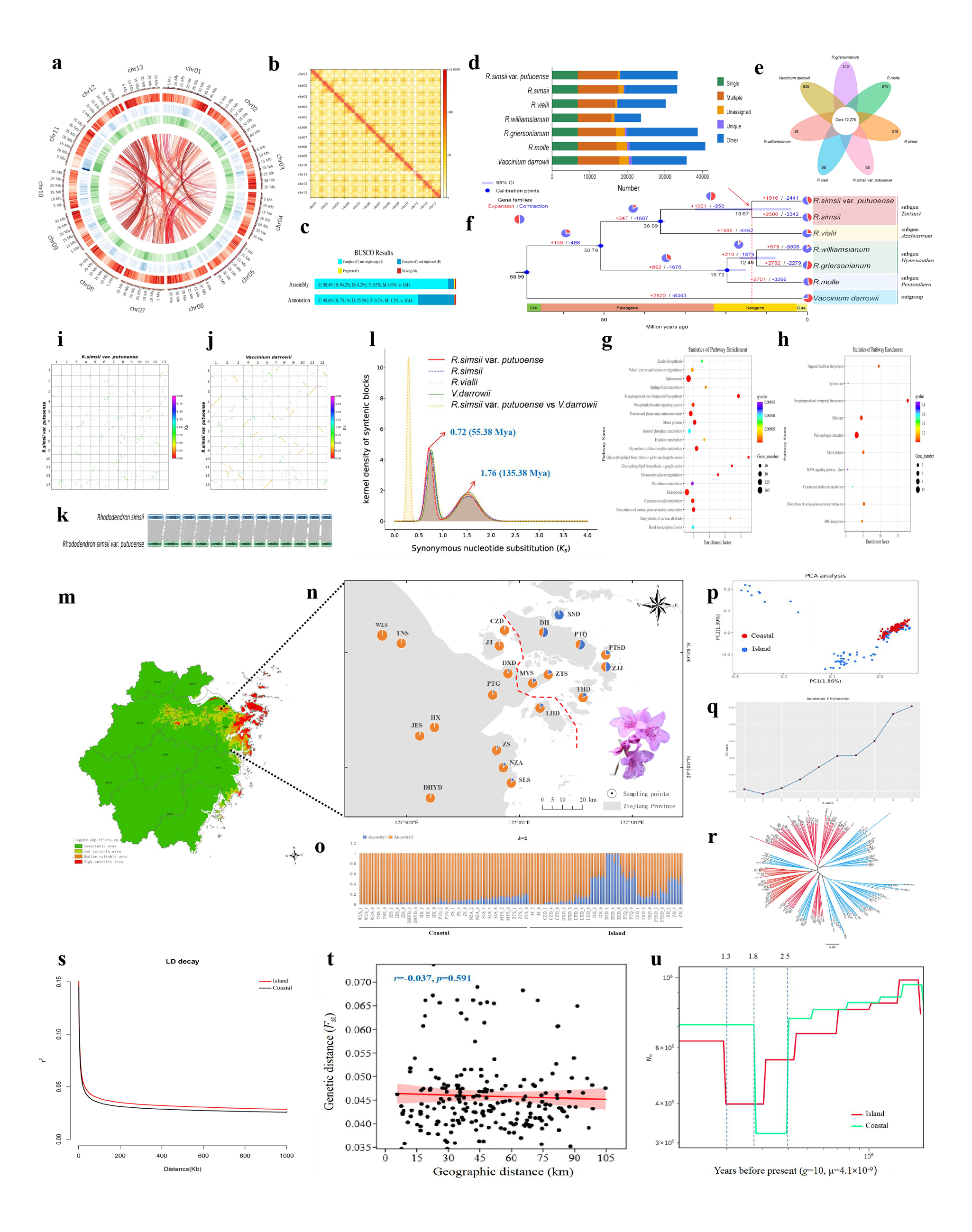 论文图.jpg 论文图.jpg